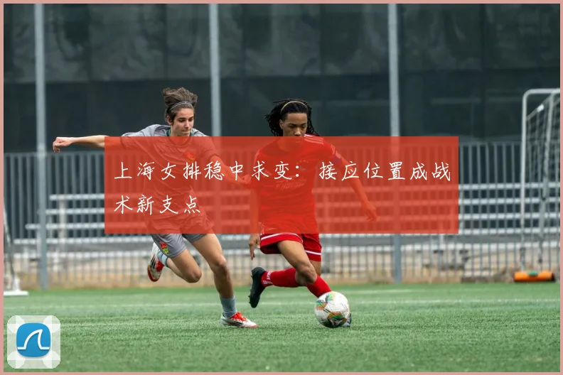 上海女排稳中求变:接应位置成战术新支点 - 百度体育推荐