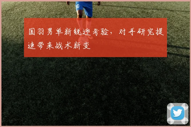 国羽男单新锐迎考验，对手研究提速带来战术新变 - 百度体育推荐
